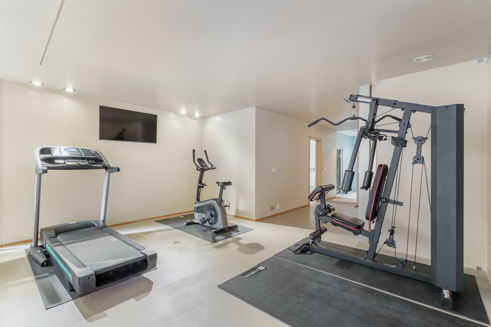 Private gym — treadmill, bike and weight machine.